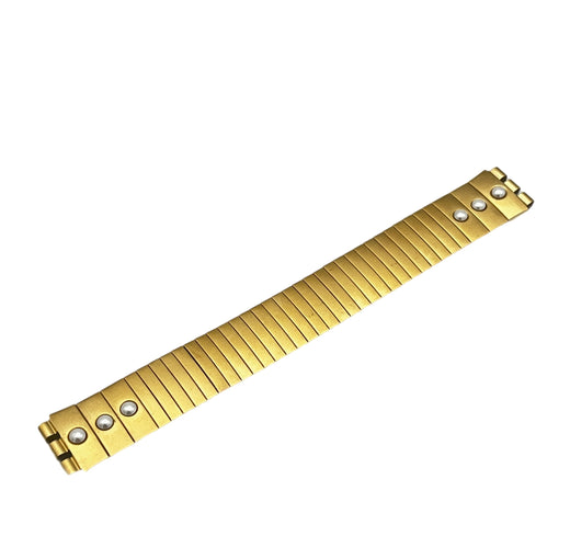 Correa de repuesto Swatch de metal flexible de 17 mm SEETANG SDK901