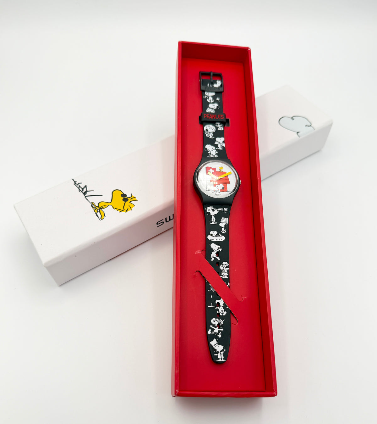 Swatch Gent LISA FAN de Claudia Carieri GZ280 (2013)
